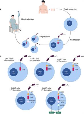 Current status and future challenges of CAR-T cell therapy for osteosarcoma